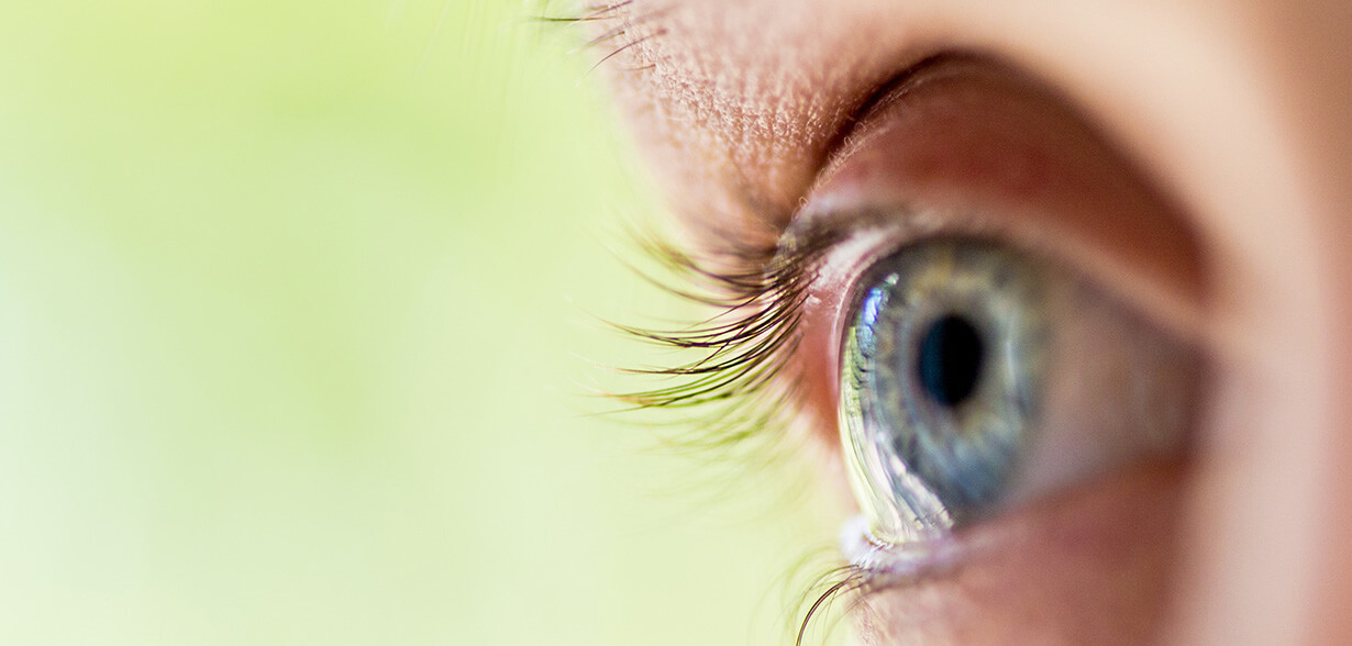 Close-up of an eye